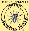British Tarantula Society Logo